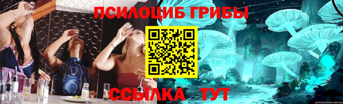 Джанкой  Псилоцибиновые грибы прущие грибы  Вход с VPN 